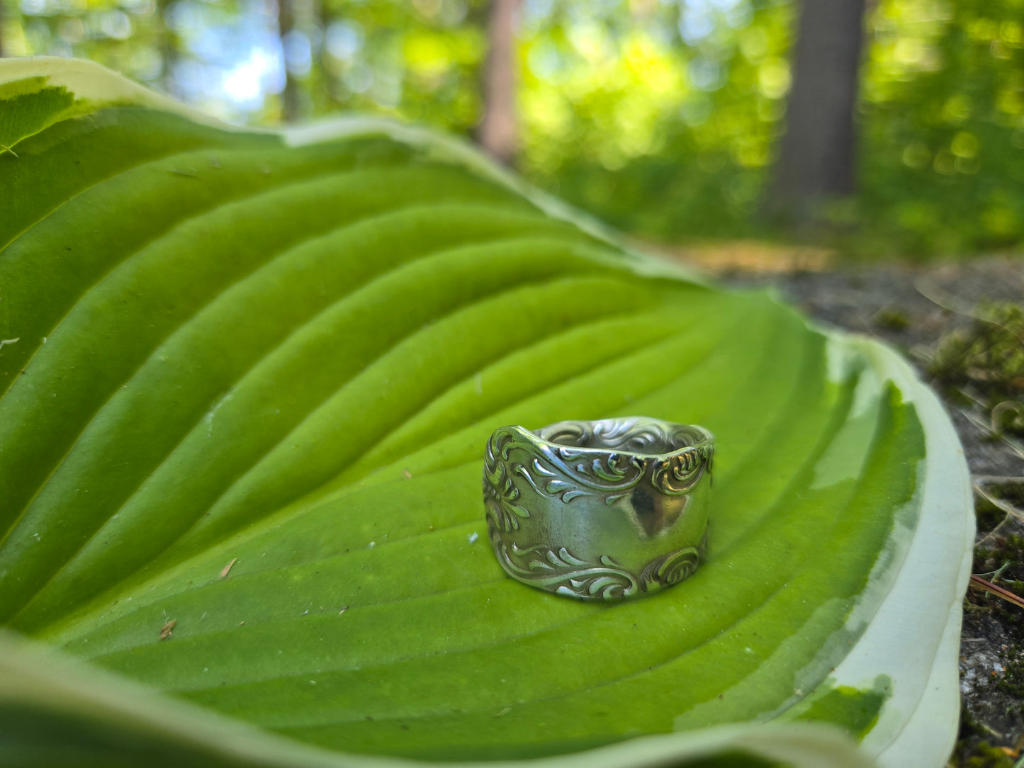 Portland Ring - Size 8